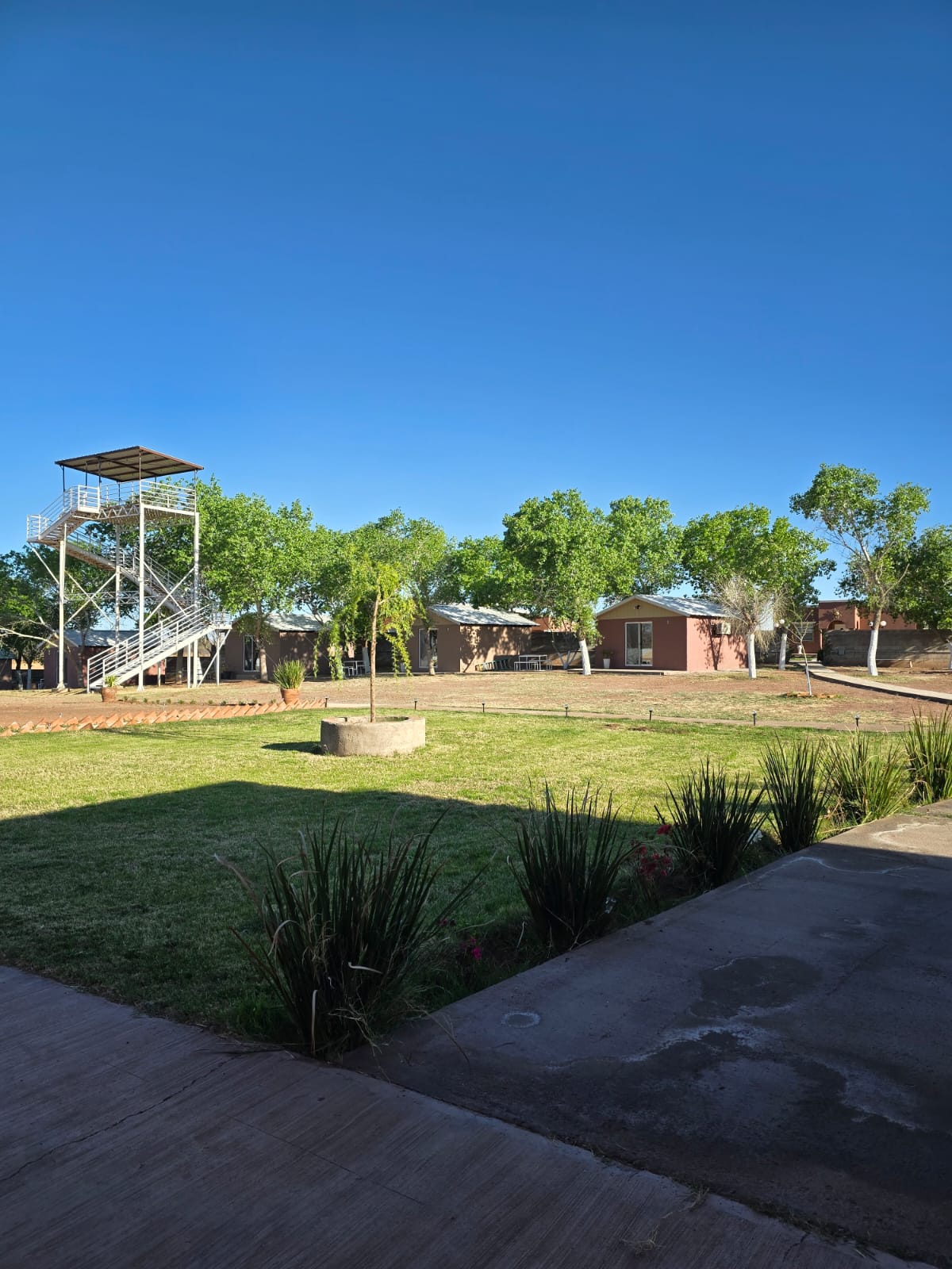 Áreas verdes y jardines del campestre
